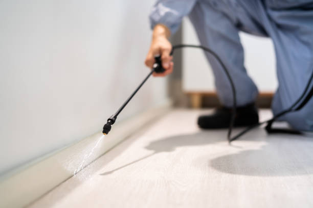 Licensed Rodent Control service in Mitchell County County, KS - Nex Pest Control